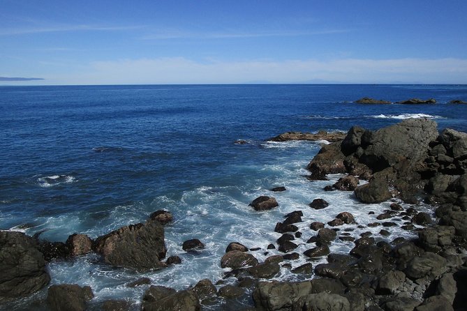 "Pinot to Palliser tour" - Guided tour to Cape Palliser vith lunch + winetasting - Lunch at Lake Ferry Hotel: fish and chips, then breathing room