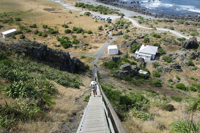 "Pinot to Palliser tour" - Guided tour to Cape Palliser vith lunch + winetasting - Rural wine tasting in Martinborough: how the day ends