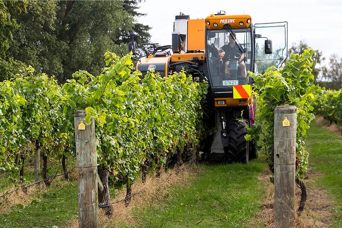 Premium 4 -Best Wineries Napier Hawke's Bay Tour, 5.5h - 6Hours - Key Points You Should Know Before You Go