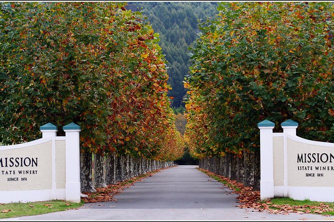 Premium 4 -Best Wineries Napier Hawke's Bay Tour, 5.5h - 6Hours - What You Learn in the Van (And Why It’s Not Just Small Talk)