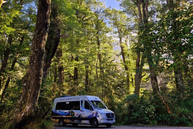 Premium Milford Sound Small Group Tour & Cruise from Queenstown - Pops View Look Out on the way back: Southern Alps and Maori stories