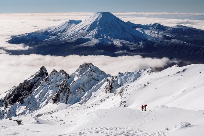 Premium Tongariro Crossing Guided Group Walk - Price and value: is $270.57 worth it?