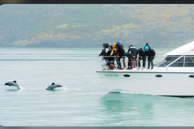 Private Akaroa Day Tour From Christchurch - The scenic Peninsula drive: where the best views happen slowly