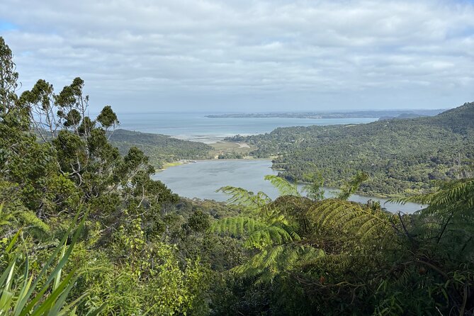 Private Auckland best Spots + Piha beach and rainforest day Tour - Westhaven Marina: the easiest “Auckland seafaring” win
