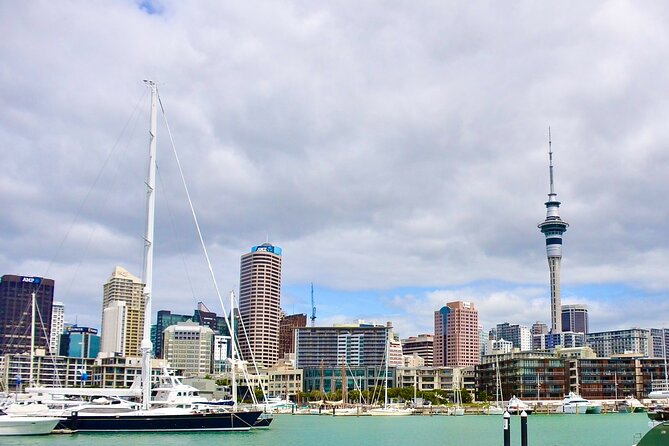 Private Auckland best Spots + Piha beach and rainforest day Tour - Mount Eden crater walk for wide city and harbour views