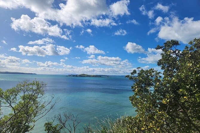 Private Auckland Best Top 5 Spots Half day Tour - Weather-Proof Planning and What to Bring