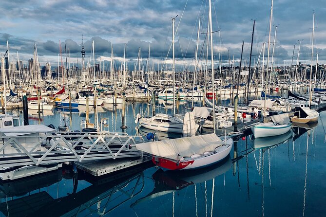 Private Auckland Best Top 5 Spots Half day Tour - Who Should Book This Private Auckland Top 5 Spots Half Day Tour