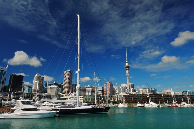 Private Auckland City Highlights Tour - Key things you should know before you go