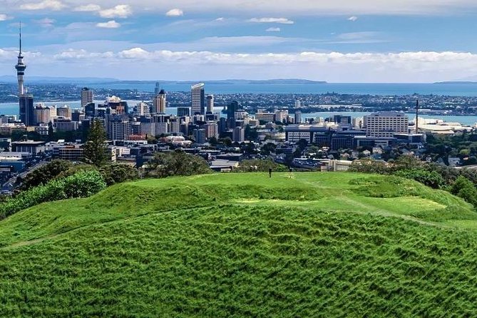 Private Auckland City Tour For Small Group in a luxury vehicle. - Price and logistics, what $713.66 actually buys you