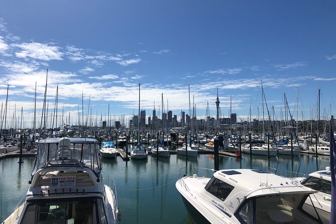 Private Auckland Half Day Tour - Key takeaways before you book