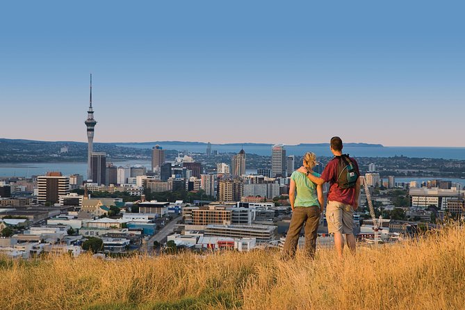 Private Auckland Luxury Tour - A Private Mercedes Tour That Starts With Easy Pickup