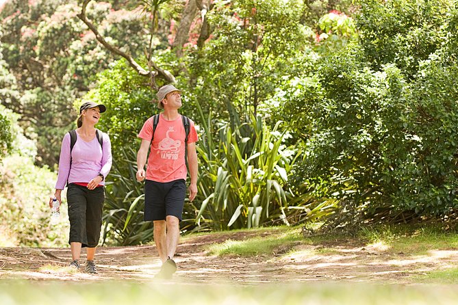 Private Auckland Luxury Tour - Tamaki Drive and Mission Bay: The North Shore Picture Stops
