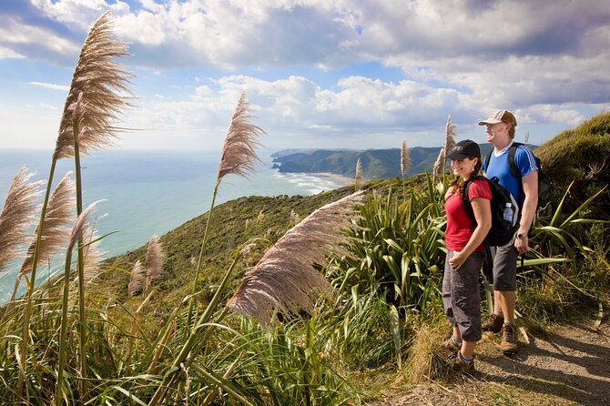 Private Auckland Luxury Tour - Mount Eden Walk for Big City Views, Plus the Harbour Bridge Drive