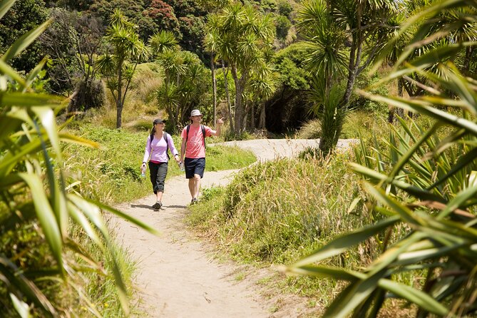Private Auckland Luxury Tour - Timing, Length, and Who This Luxury Day Works Best For