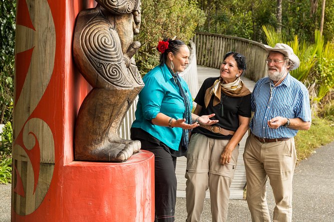 Private Auckland Maori Luxury Tour - A Maori cultural performance plus Polynesian galleries