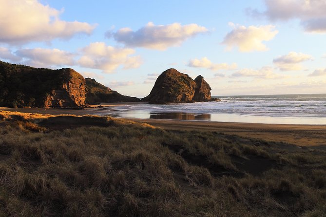 Private Auckland's West Coast - Piha/ Muriwai - Wild West Tour - Price and value: $524.38 per group can be a deal