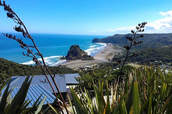 Private Auckland Sightseeing - Full Day/Half Day Hidden Gems Tour - Key highlights worth planning around
