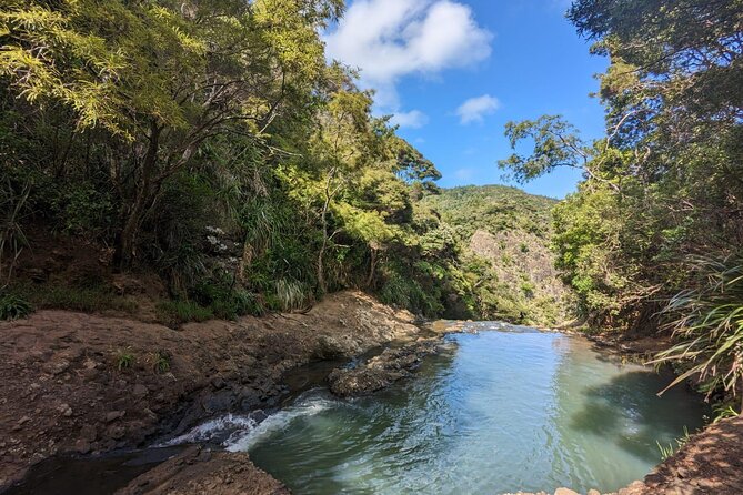 Private Auckland Sightseeing - Full Day/Half Day Hidden Gems Tour - West Coast start: Piha lookout, black sand, and waterfalls
