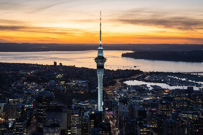 Private Auckland Sightseeing - Full Day/Half Day Hidden Gems Tour - Waitakere Ranges and the Arataki Visitor Centre, plus Mercer Bay walking views