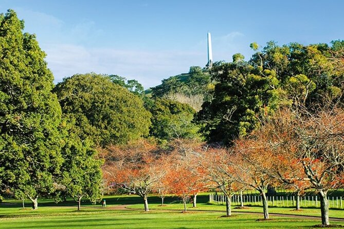 Private Auckland Sightseeing - Full Day/Half Day Hidden Gems Tour - Price and what $565 per group really buys you