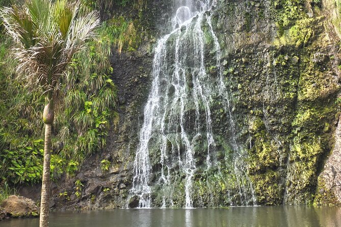 Private Auckland West Coast Tour Piha Beach and Karekare Falls - A 4 to 5 hour West Coast plan that stays relaxed