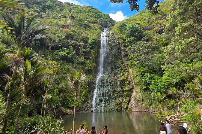 Private Auckland West Coast Tour Piha Beach and Karekare Falls - Guides make or break the day, and this one seems to deliver