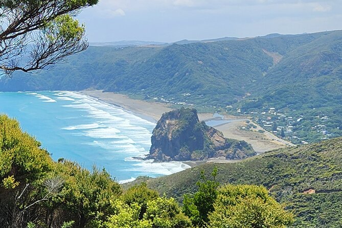 Private Auckland West Coast Tour Piha Beach and Karekare Falls - Price and logistics: what you are actually paying for