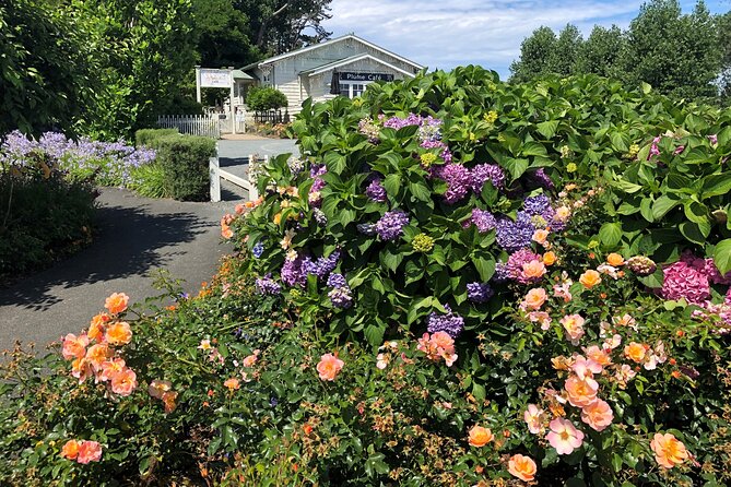 Private Auckland Wine & Dine Matakana Country & Cuisine - Who this tour suits best (and who might want another plan)