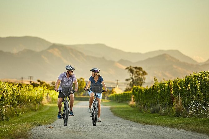Private Biking Wine Tour (full day) in the Marlborough Region - Marlborough by Bike, with Wineries Built In