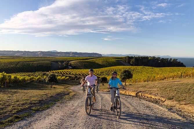 Private Biking Wine Tour (full day) in the Marlborough Region - Entering The Vines Village: Your Home Base and Starting Point