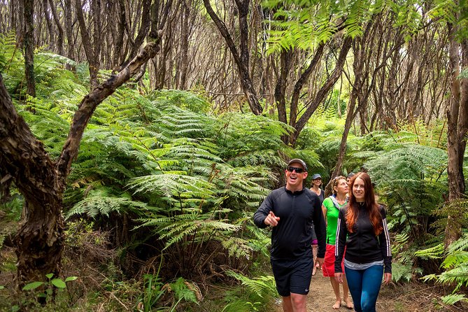 Private boat charter in Abel Tasman National Park - Abel Tasman Coast Track: a Great Walk moment without the whole trek
