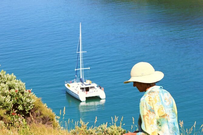 Private Catamaran Full Day Sailing Charter | Bay Of Islands - Where This Private Charter Fits in the Bay of Islands