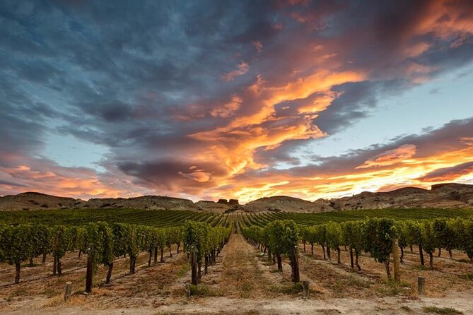 Private Central Otago Wine tasting Tour with Gourmet Lunch. - Cromwell gourmet lunch pairing, where the day really levels up