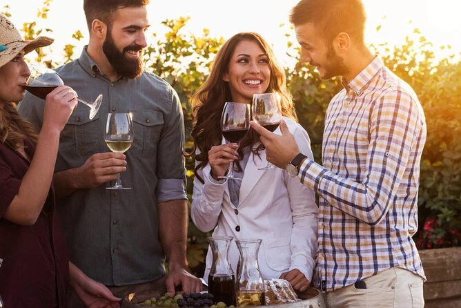 Private Central Otago Wine tasting Tour with Gourmet Lunch. - A second Gibbston boutique tasting plus cheese board joy
