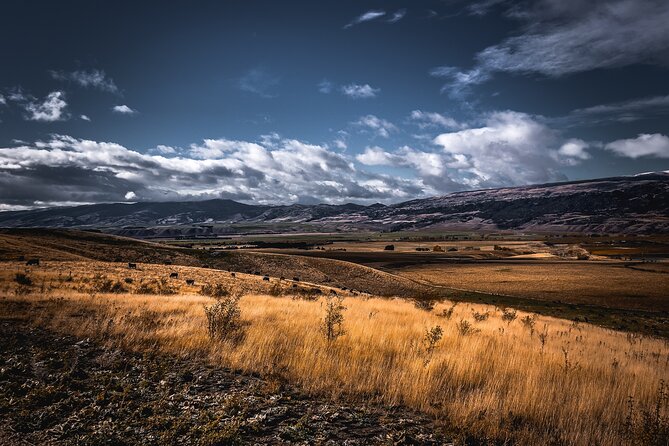 Private Central Otago Wine tasting Tour with Gourmet Lunch. - Arrowtown finish with free time in a gold-mining town