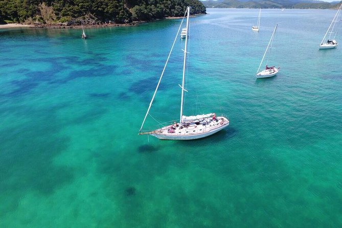 Private Charter Bay of Islands - Meeting at Russell Wharf, and what a 10:00 am start changes