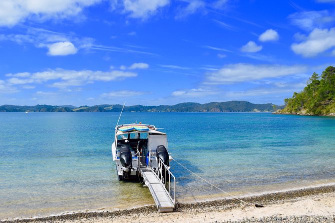 Private Charter: Hole in the Rock Cruise with Island Stopovers - Paihia Wharf check-in at 9:00 am, then you are out on the water