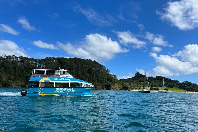 Private Charter: Hole in the Rock Cruise with Island Stopovers - The Hole in the Rock stop: Cape Brett Lighthouse and Cathedral Cave