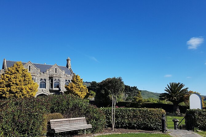 Private Christchurch City Highlight Half Day Tour - When This Works Best for Cruise Ports and Tight Schedules