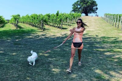 Private Dog Friendly Wine Tour with your Local Guide