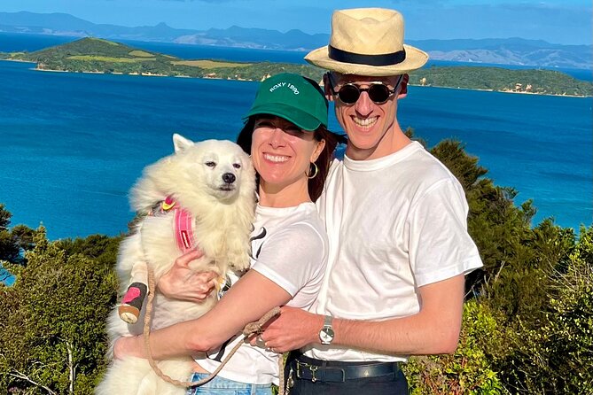 Private Dog Friendly Wine Tour with your Local Guide - Pickup and private transport: why it is worth paying for