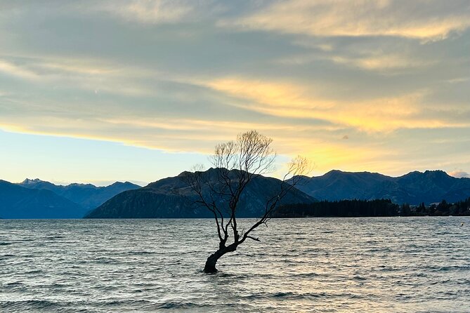 Private Driver Hire – Full-Day Touring-Auckland/Rotorua/Hamilton - Key things I’d watch before you book