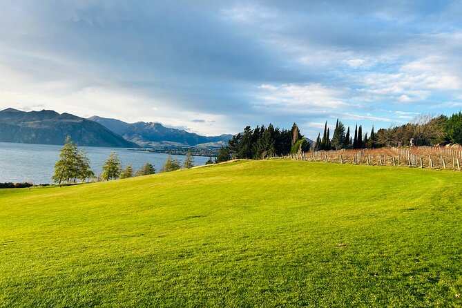 Private Driver Hire – Full-Day Touring-Auckland/Rotorua/Hamilton - Unlimited kilometers, real-world flexibility, and fewer regrets
