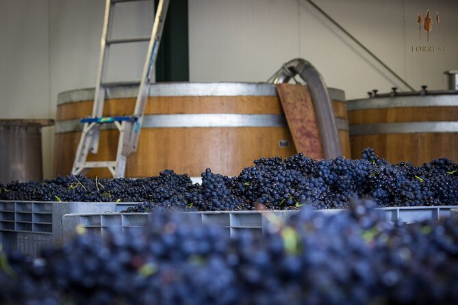 Private Driving Wine Tour (full day) in the Marlborough Region - How Private Wine Tasting Works in Marlborough (and Why It Feels Different)
