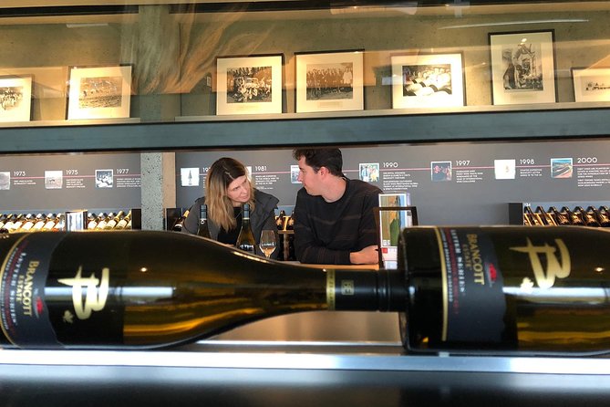 Private Driving Wine Tour (full day) in the Marlborough Region - Winemaking Secrets, Not Just Wine Names