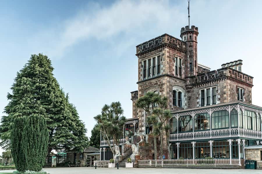 Private Dunedin City Highlights and Otago Peninsula Day Tour - Key Points to Know Before You Go