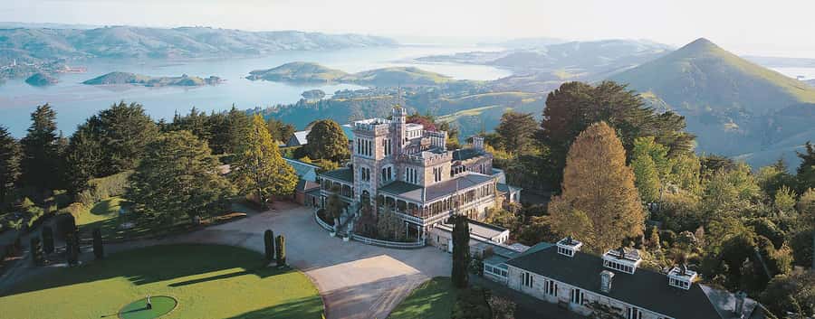 Private Dunedin City Highlights and Otago Peninsula Day Tour - How the 6-Hour Route Fits Around Cruise Ports