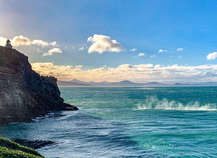 Private Dunedin City Highlights and Otago Peninsula Day Tour - Small Details That Make or Break the Day