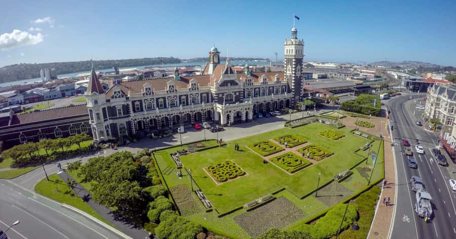 Private Dunedin City Highlights and Otago Peninsula Day Tour - Who This Tour Suits Best