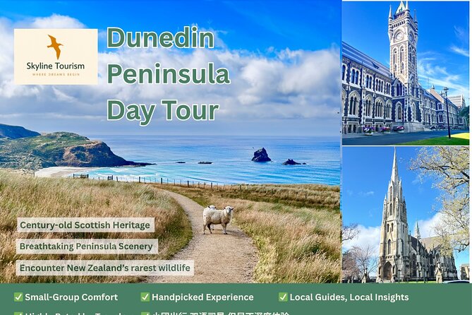 Private Dunedin & Otago Peninsula Day Tour Up to 4 - Port Chalmers pickup, a private day that saves your energy